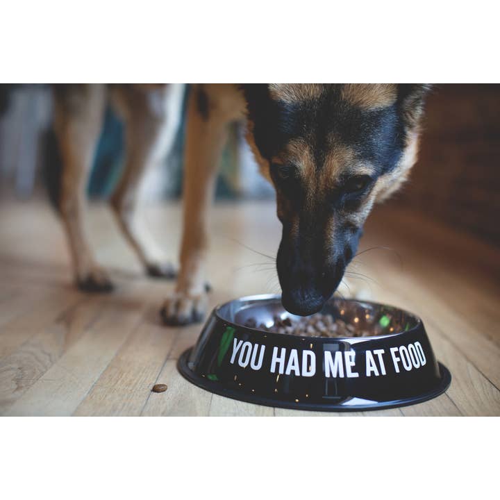 SNARK CITY - Vendita all'ingrosso Ciotola - Cani e gatti - Mi hai fatto alla ciotola per animali domestici2