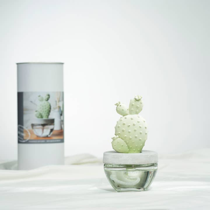 Pretty Valley Home – wholesale Reed diffuser – Cactus - Bunny Ear Cactus ceramic diffuser gift set - 100ml