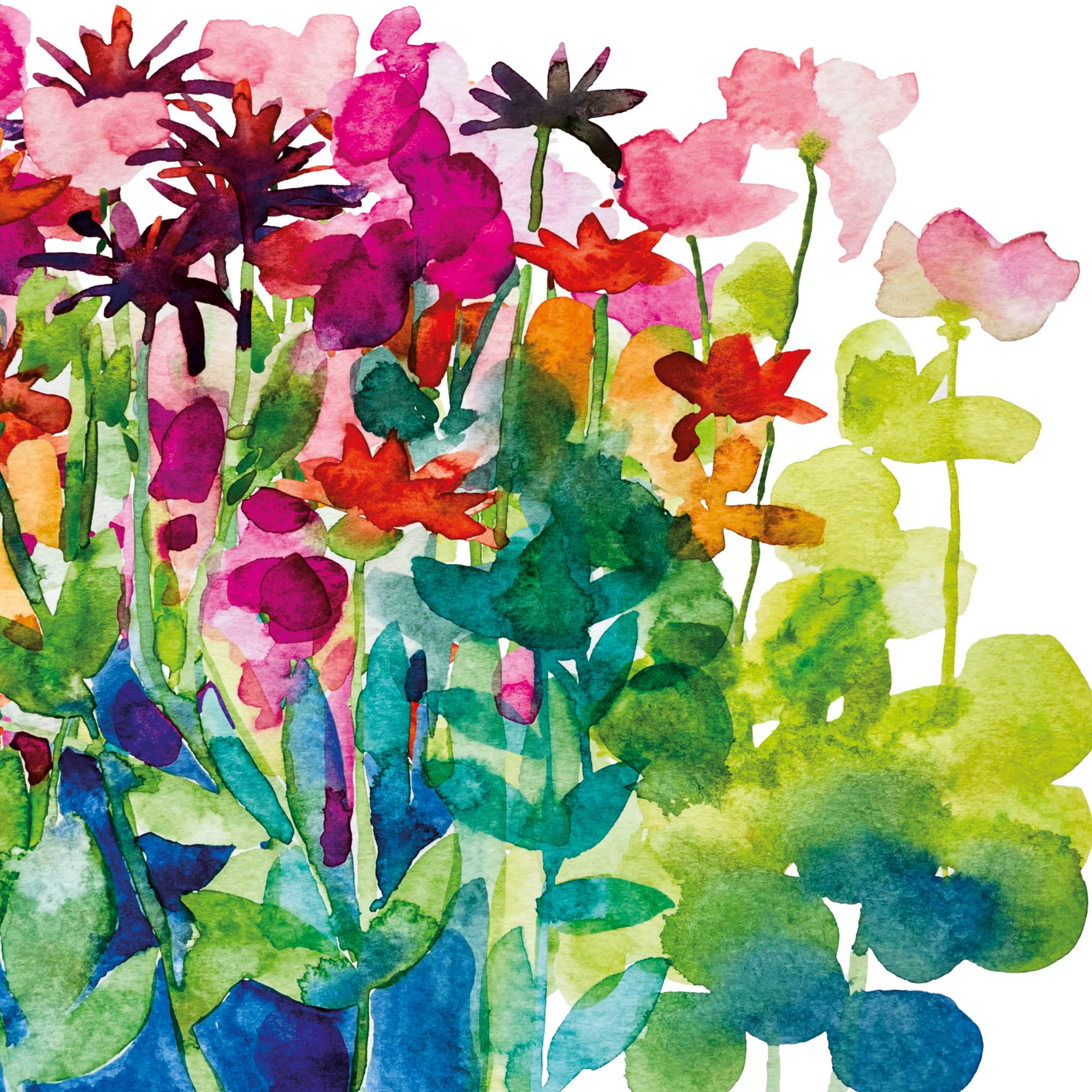 Diana Fegredo Studio - Wholesale Everyday Greeting Card - June Floral Greetings Card1