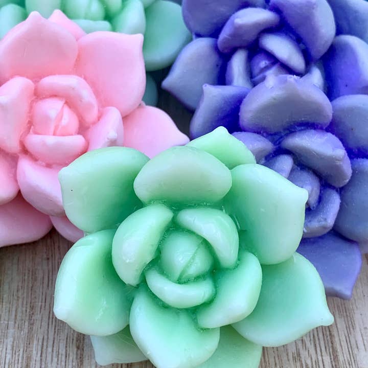 Plunk Soap and Candle Company - Wholesale Bar Soap - 3D Flower Succulent Soaps: Party Favors, Cactus theme, Gift1