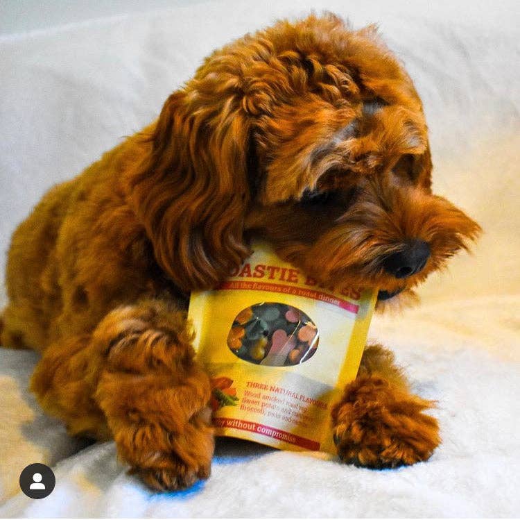 Miro & Makauri – wholesale Pet treats – Dog – Vegan Dog Treats - Maks Patch "Roastie Bites" Training Dog Treats - 100g1