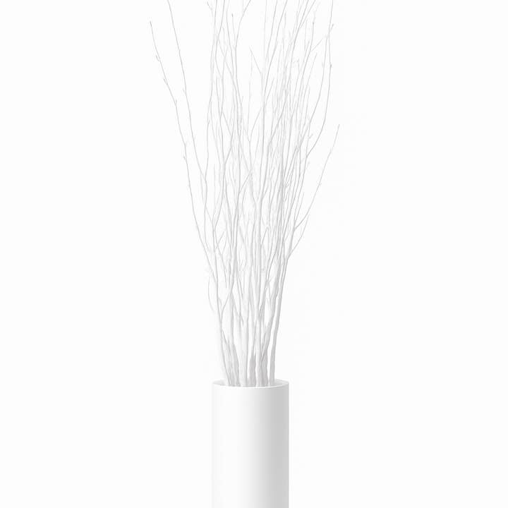 GS Foliage - Wholesale Artificial Plant - White Painted 4 Foot Birch Branches - 10pc Bundle0