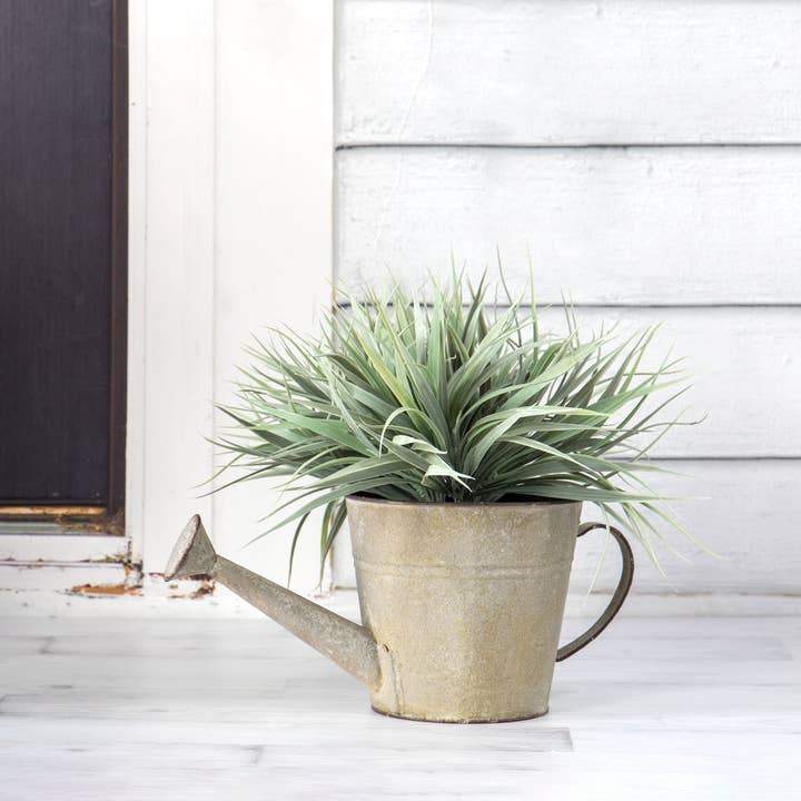 Willow Group - Wholesale Watering Can - Round Metal Watering Can Planter w/drain, cement-like finish1