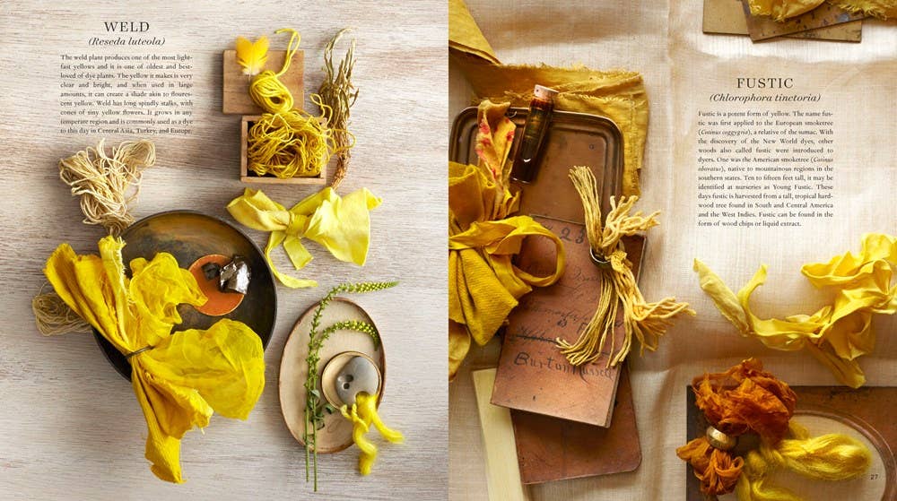 Texas Bookman - Vente Livre sur l'artisanat, les loisirs créatifs et le bricolage - Le teinturier naturel moderne1