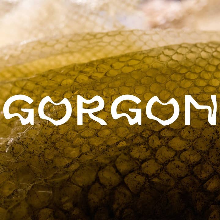 Gorgone pour la vente par Apokrypha