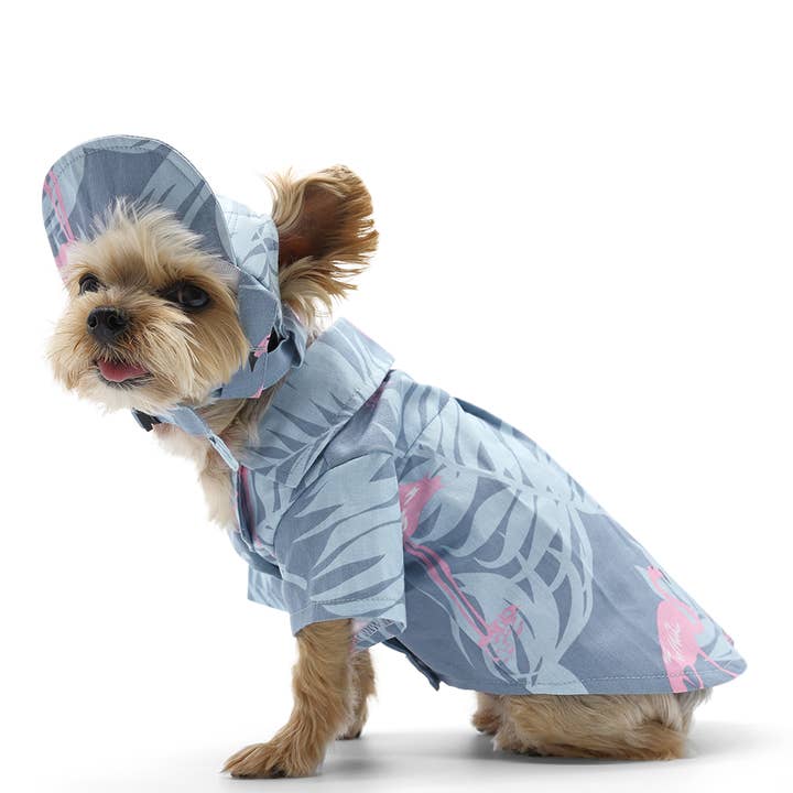 Dogo Pet - Wholesale Pet Hat - Dog - Flamingo Hat3