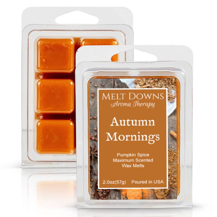 Matins d'automne - Cire parfumée maximale - Épice de citrouille pour la vente par Melt Downs Aroma Therapy