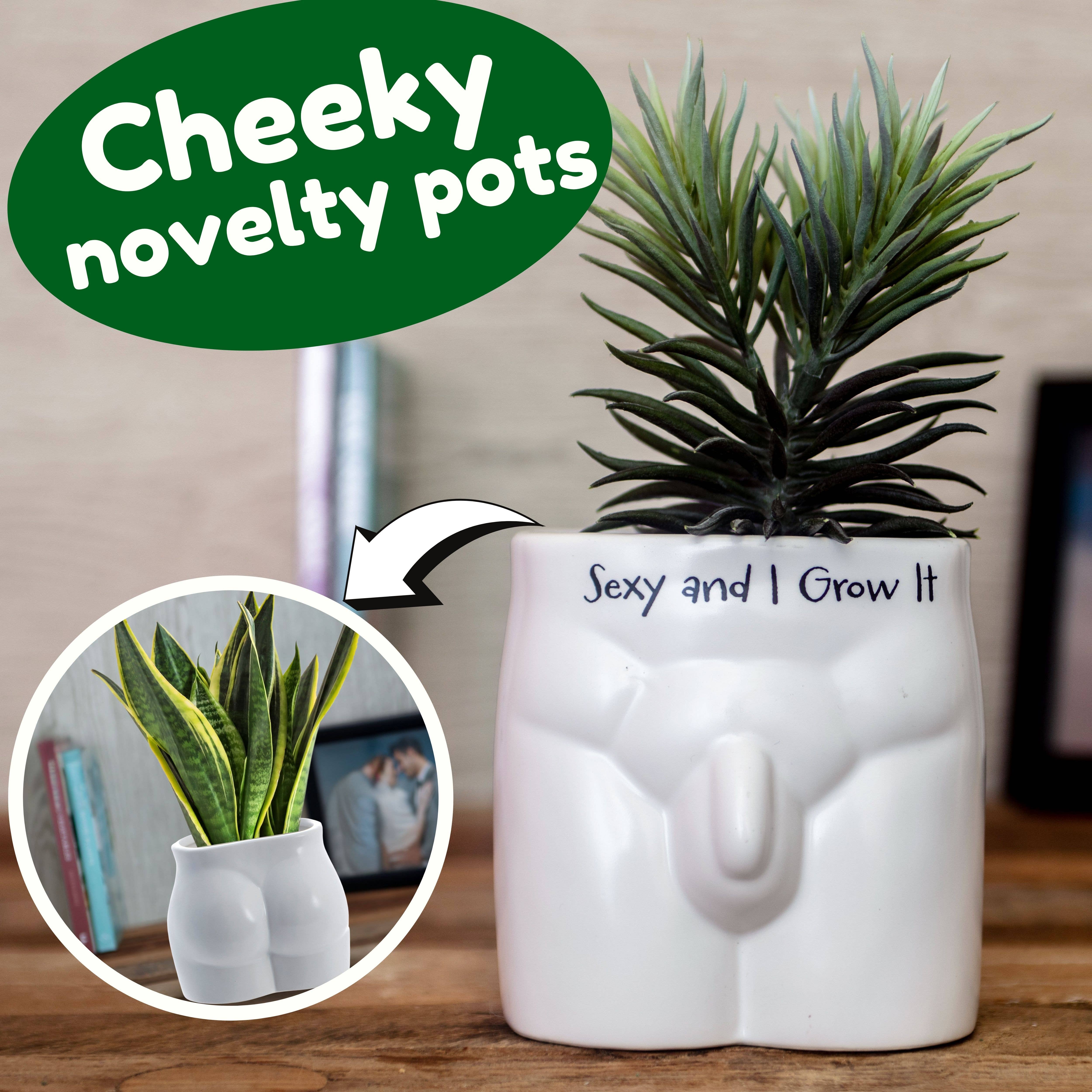 Boxer Gifts - Wholesale Plant Pot - Sexy and I Grow It Put Some Plants On Novelty Indoor Planter1