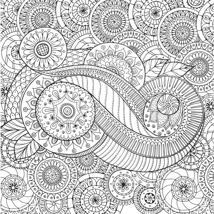 Peter Pauper Press - Wholesale Coloring & Activity Book - Adult - Peaceful Paisleys Artist's Coloring Book1