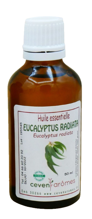 Céven'Arômes - Wholesale Essential Oil - Eucalyptus radiata Essential Oil HEBBD 50ml0