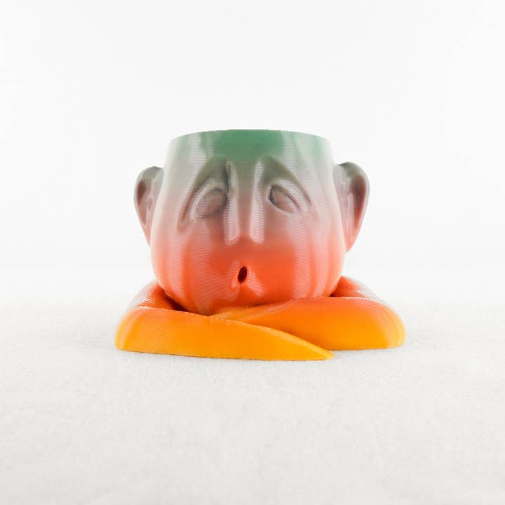 Rosebud Homegoods - Wholesale Plant pot - Shady Air Head Planter16