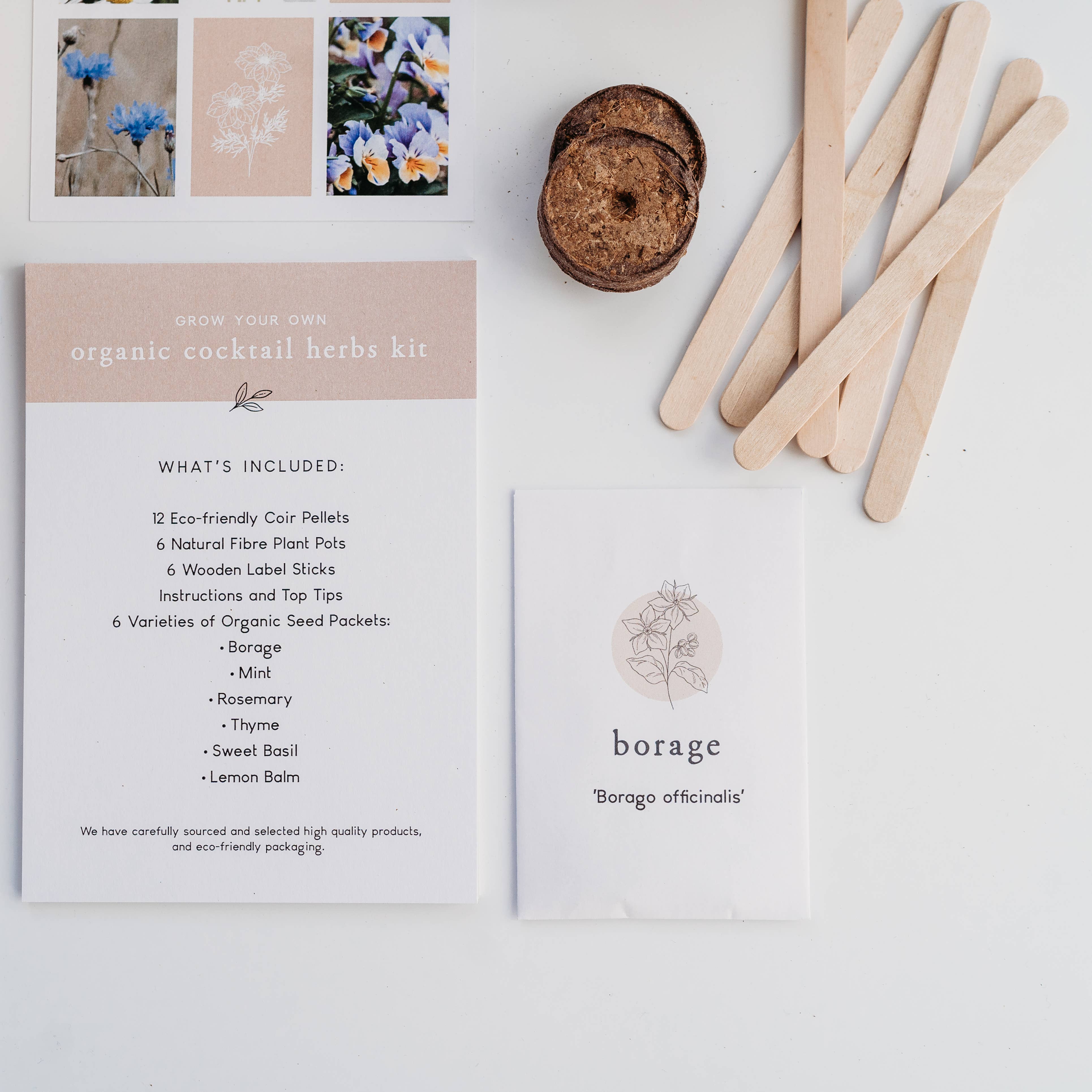 The Little Allotment Company – wholesale Plant seeds – Grow Your Own Cocktail Herbs Kit3