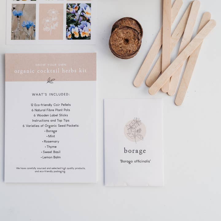 The Little Allotment Company – wholesale Plant seeds – Grow Your Own Cocktail Herbs Kit3