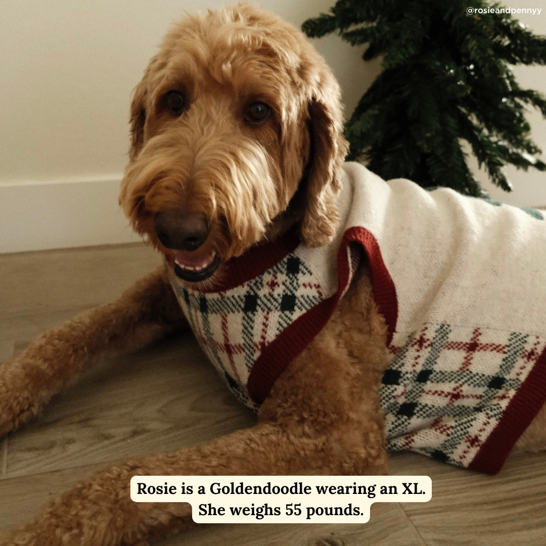 Lucy & Co. – wholesale Tröja - Hund – Snö Mycket Rolig Tröja3