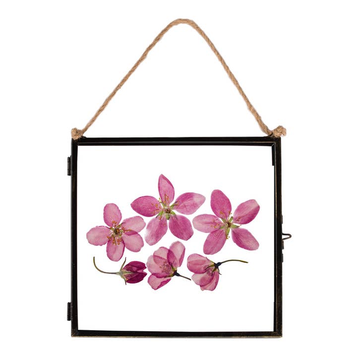 Rinkit Ltd - Wholesale Picture Frame - 8" x 8" Black Hanging Metal Photo Frame - by Nicola Spring