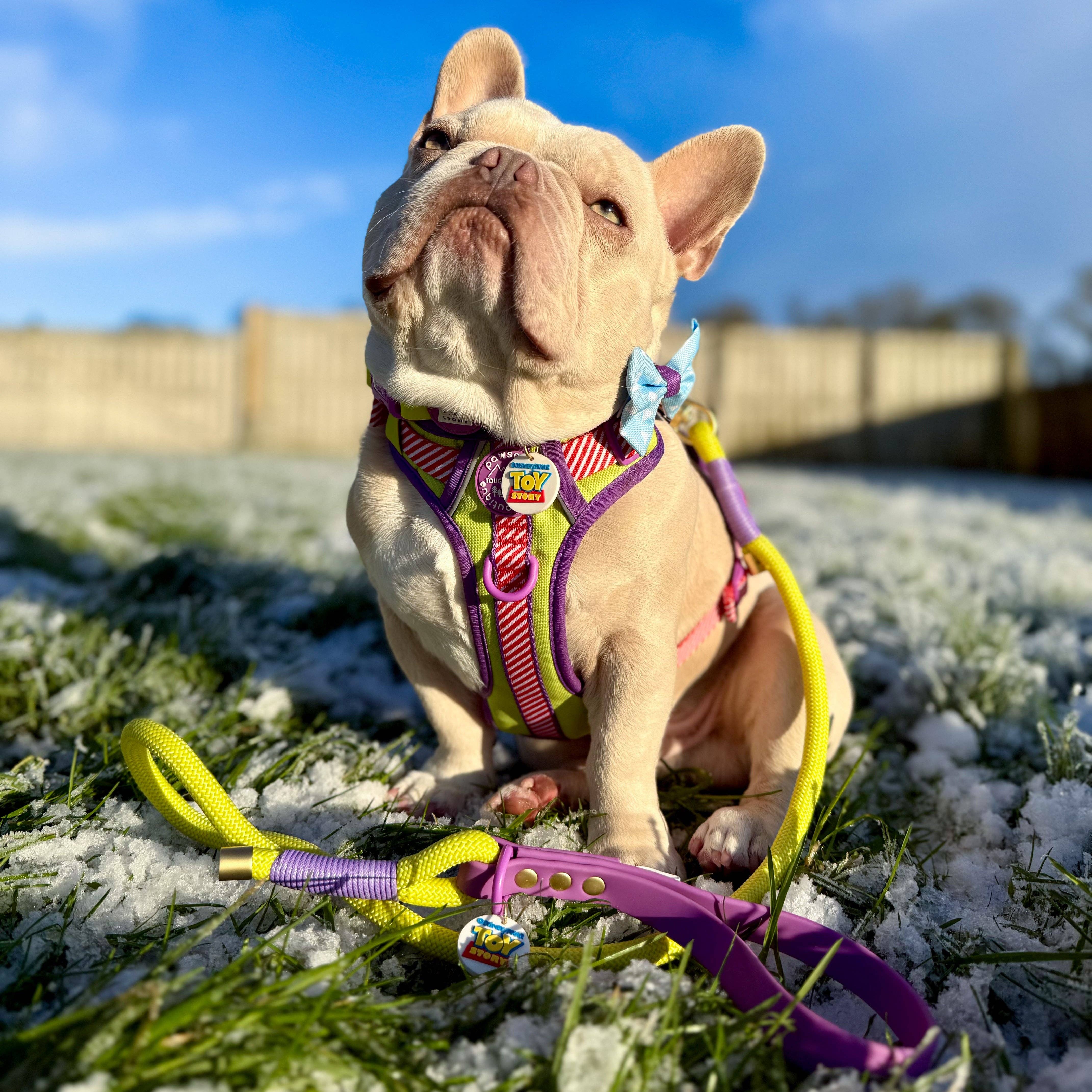 Pawsome Paws - Wholesale Pet Leash - Dog - Disney© 4ft Rope Lead - Buzz Lightyear6