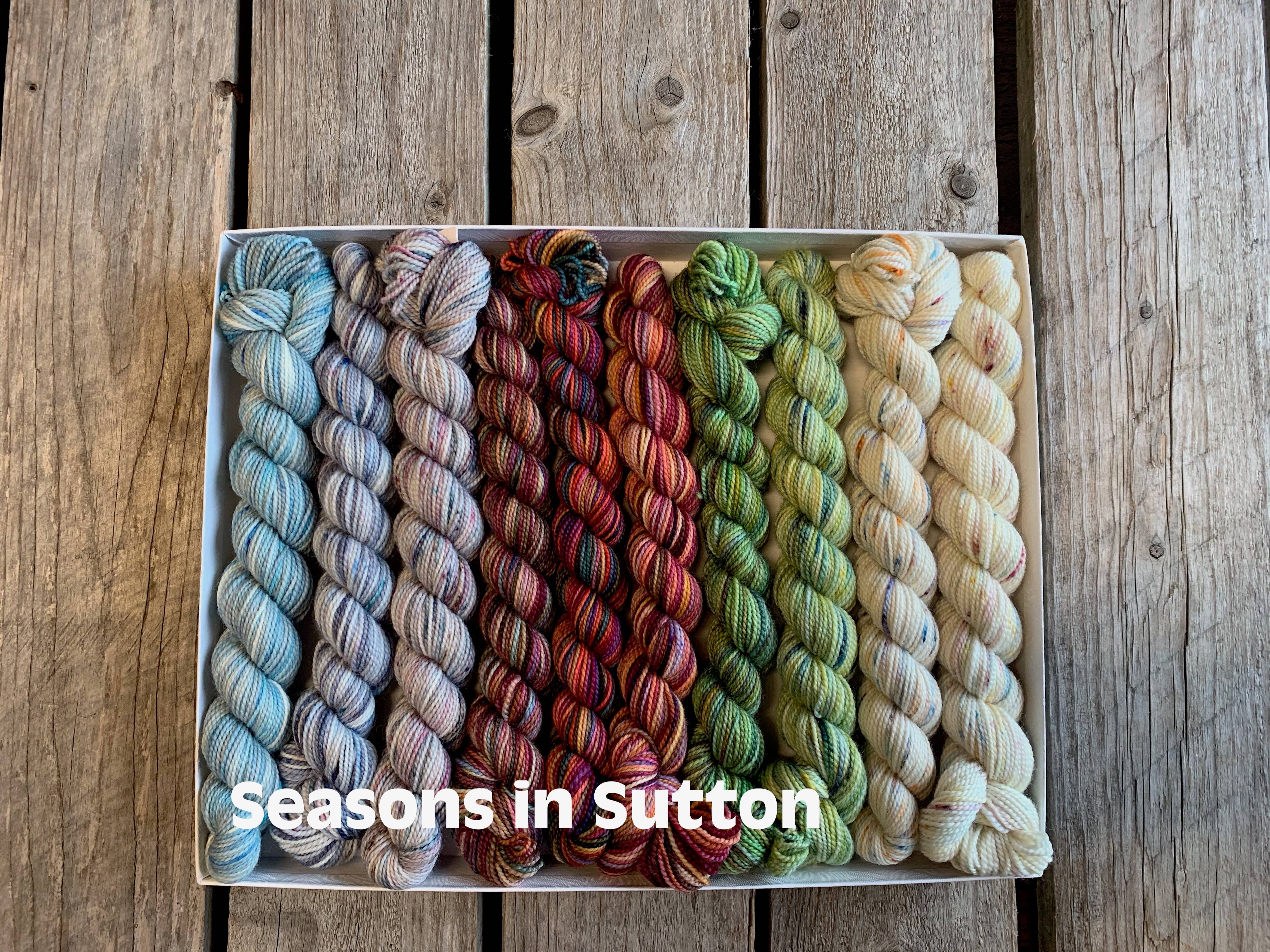 Koigu Wool Designs - Vente Fils à tricoter - Coffret de laine Koigu Pencil Box groupe 144