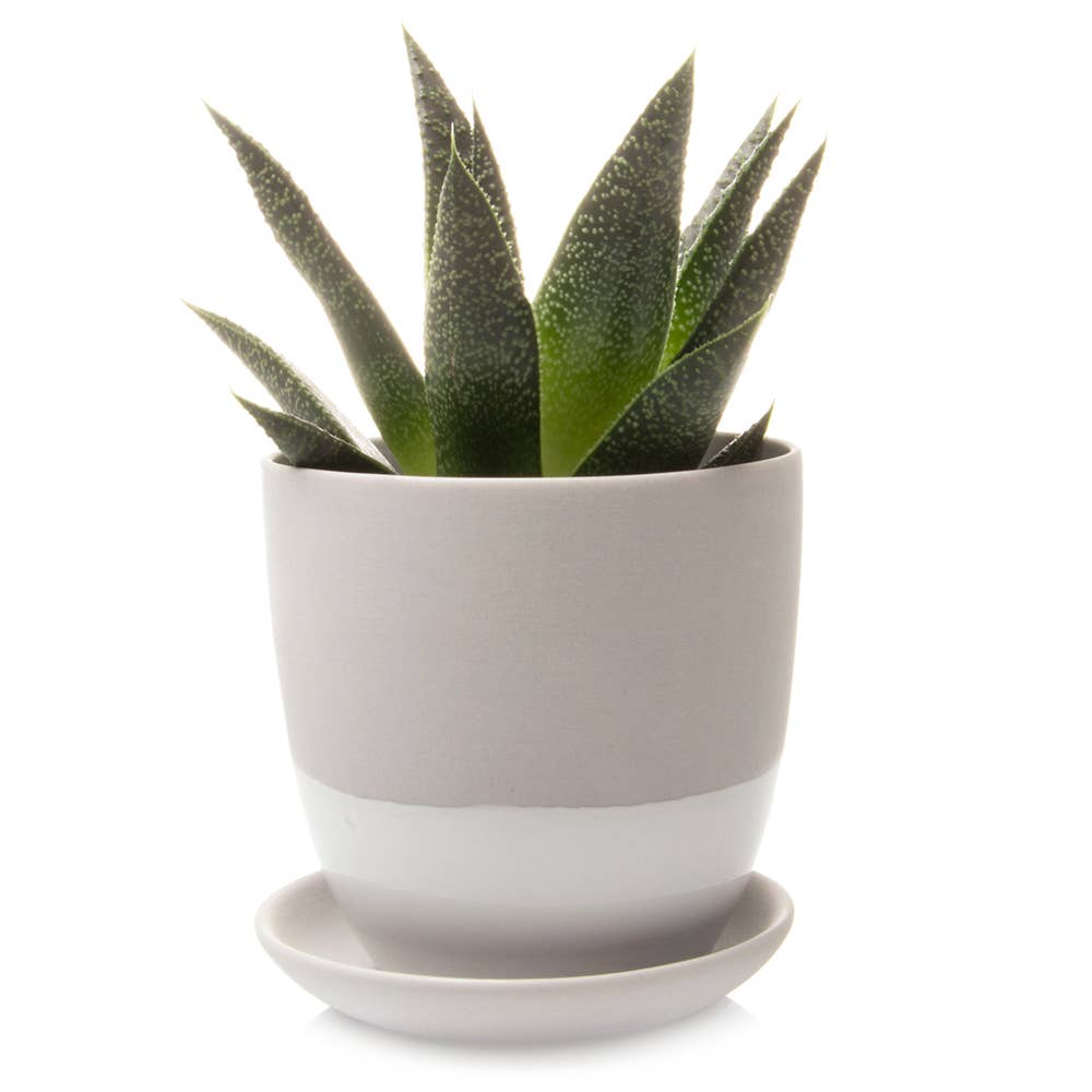 Chive Canada - Vente Pot - Dyad Pots de Plantes et Jardinières de 3 Pouces avec Trou de Drainage5