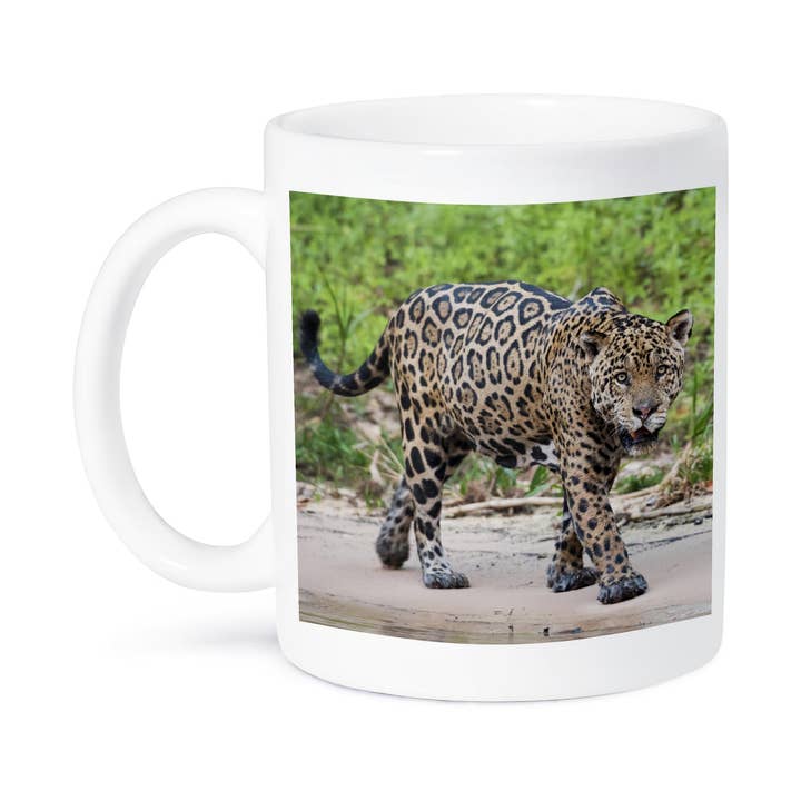 3dRose - Wholesale Coffee Mug - 3dRose, Jaguar on the prowl, Mug8