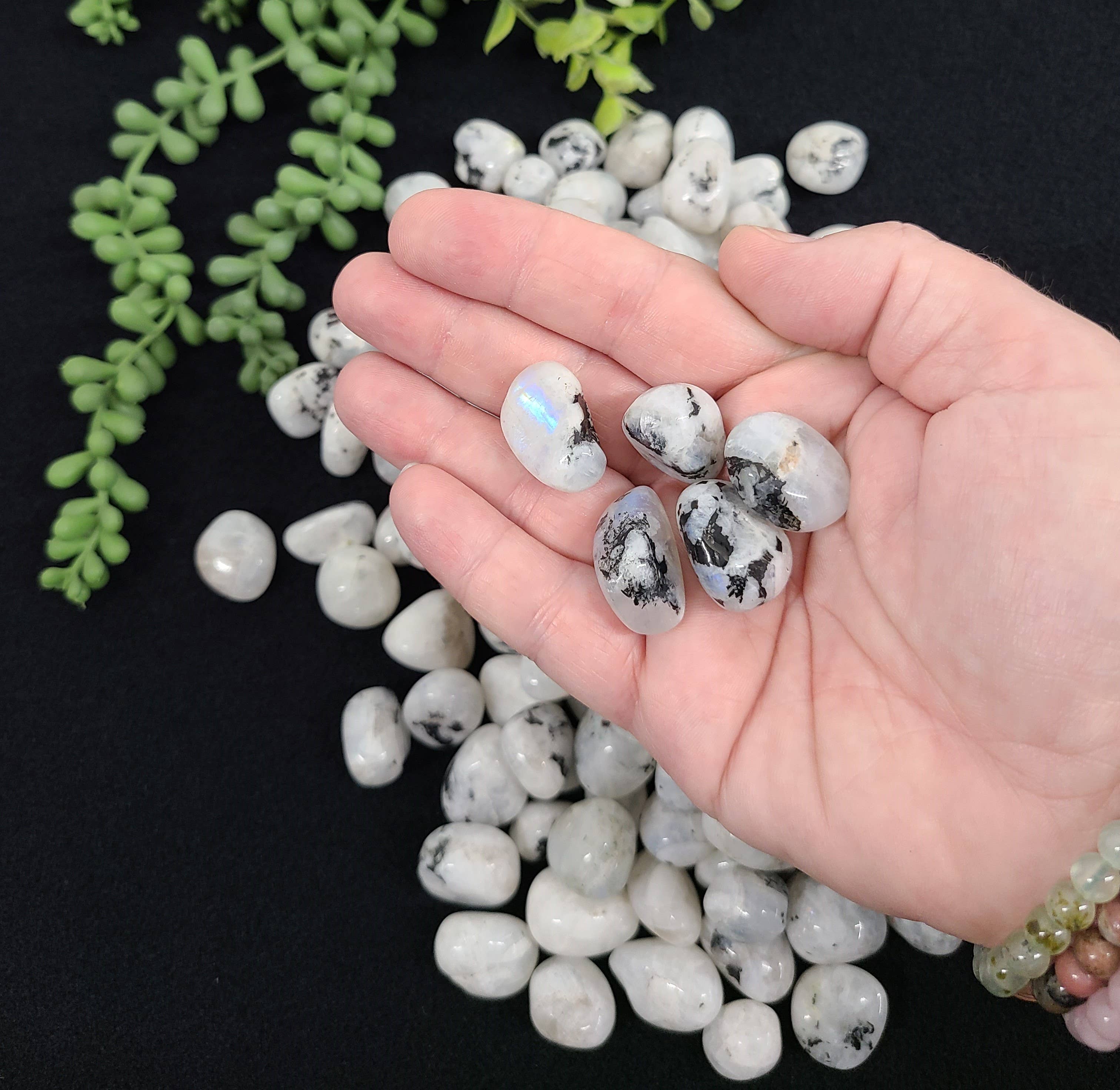 Meraki Gemstones - Wholesale Spiritual Stone/Crystal - Rainbow Moonstone Tumbled Stones 20-25mm  (0.5kg/1.1 lbs.) 3