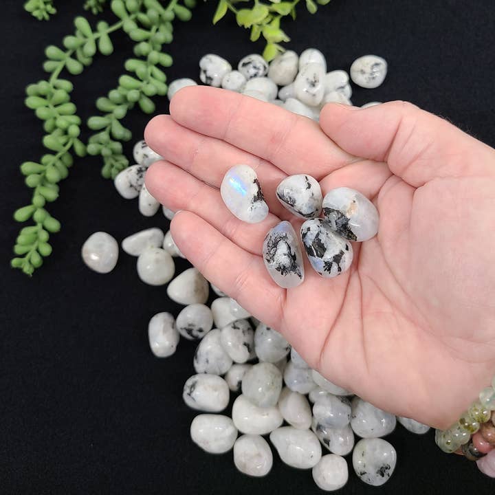 Meraki Gemstones - Wholesale Spiritual Stone/Crystal - Rainbow Moonstone Tumbled Stones 20-25mm (0.5kg/1.1 lbs.) 3