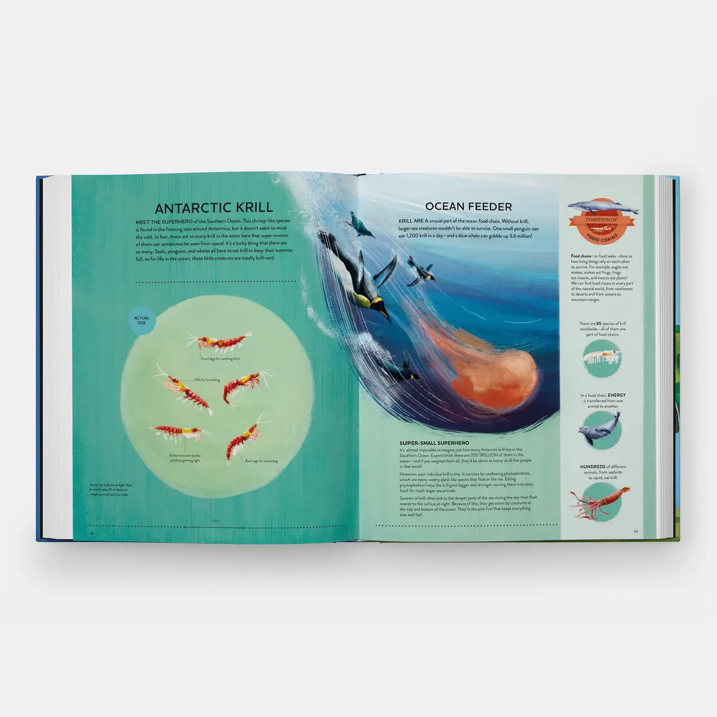 Phaidon - Wholesale Nature & Outdoors - Nature's Tiny Champions: The Big Book of Little Creatures6