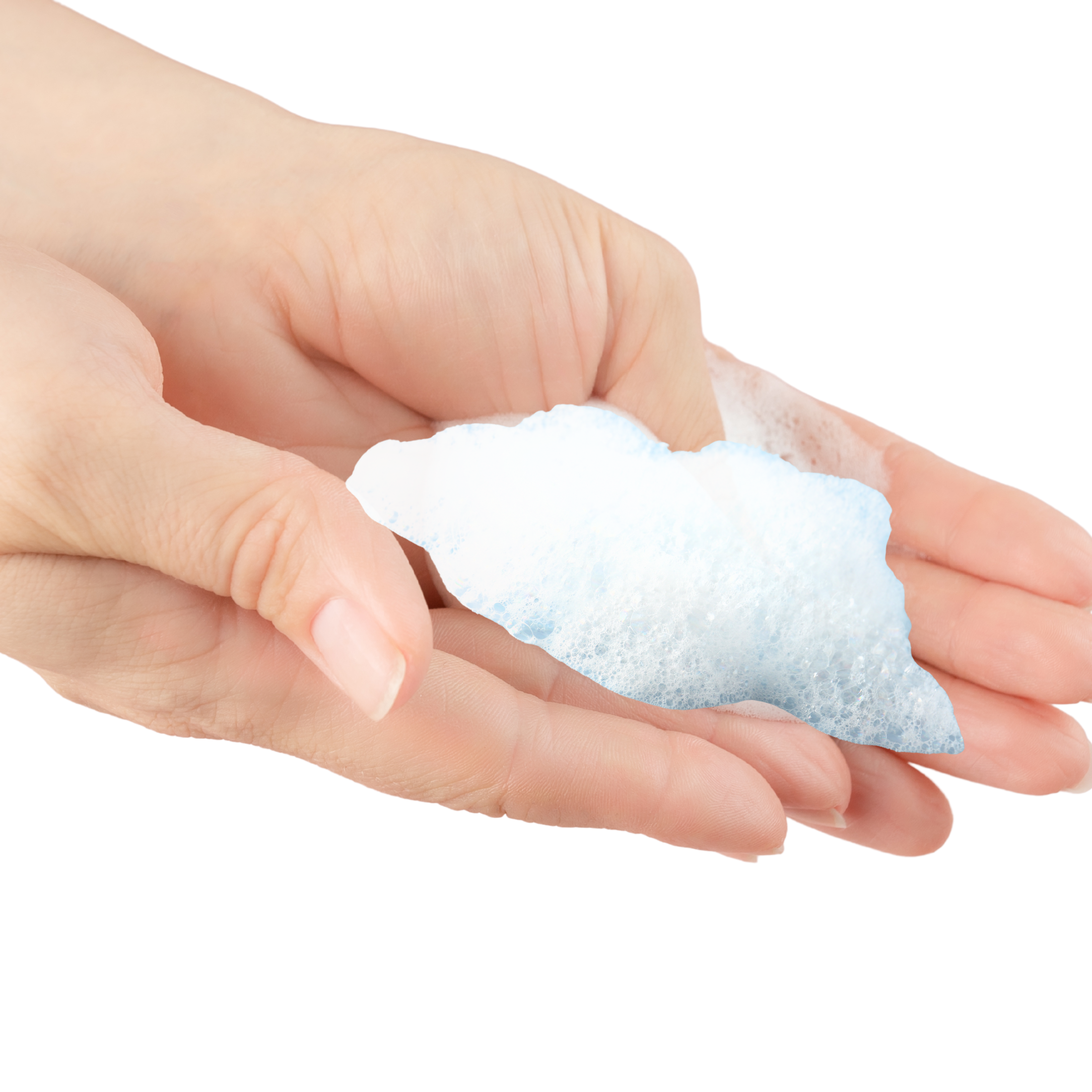 Mettalusso Inc - Vente Shampoing – chien - Mettalusso Plus Shampooing Mousse Végétalien Sans Eau pour Animaux5