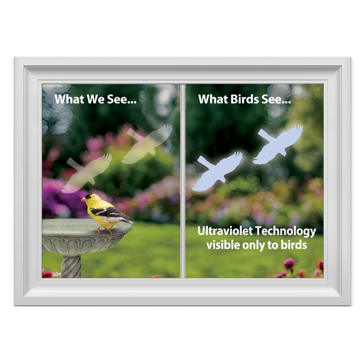 WindowAlert, Inc. – Engroshandel Vindues- og vægklistermærke – WindowAlert Hawk Decals4