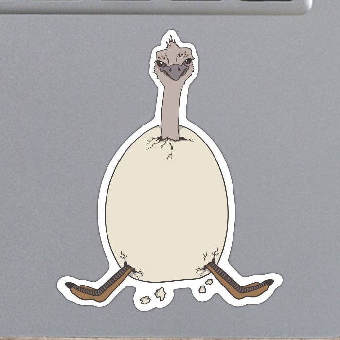 Avestruz poco impresionado para venta al por mayor de kbs design space