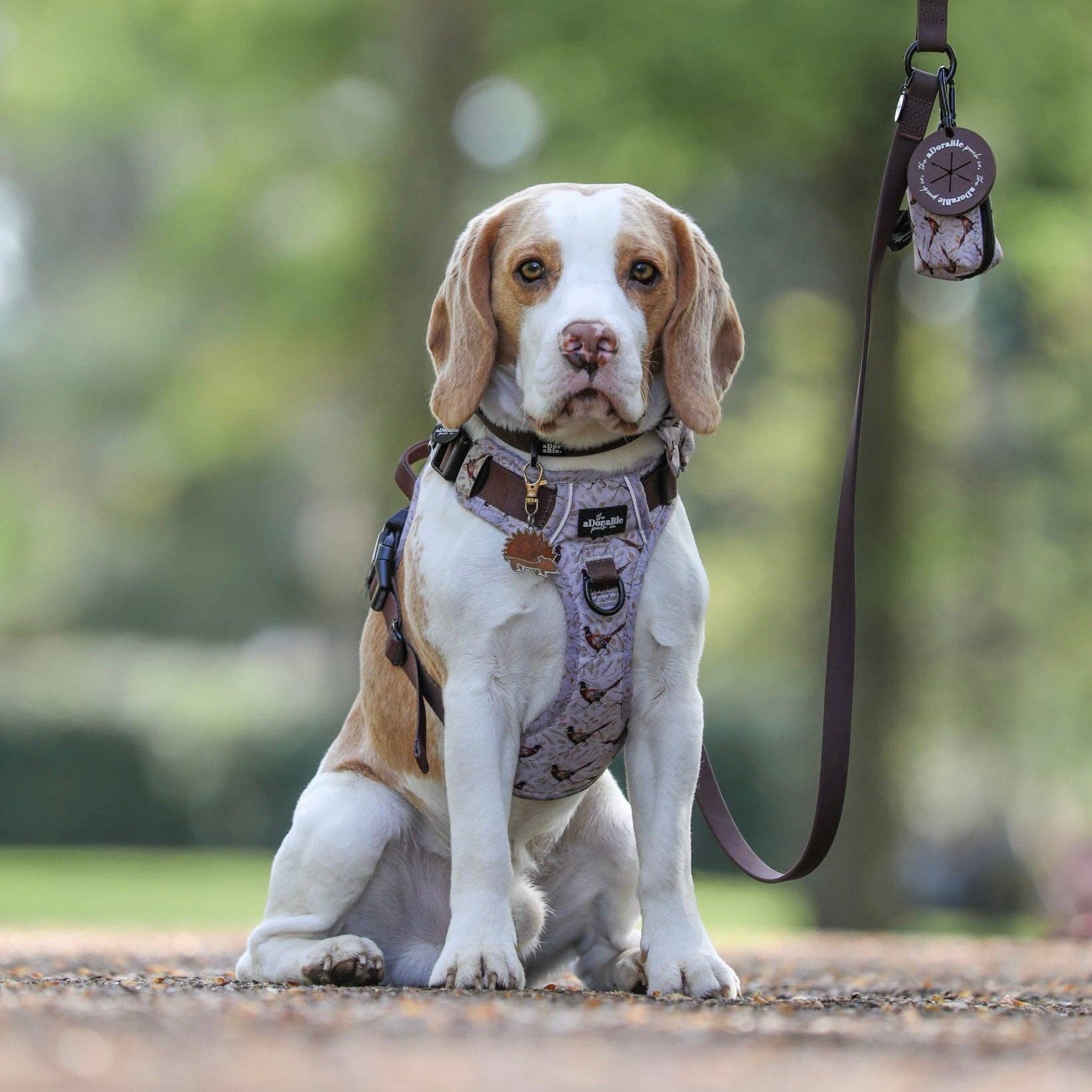 The aDoraBle Pooch Company – Engroshandel Hundeposedispenser – Hundeposeholder - Chokolade - The aDoraBle Pooch Company2