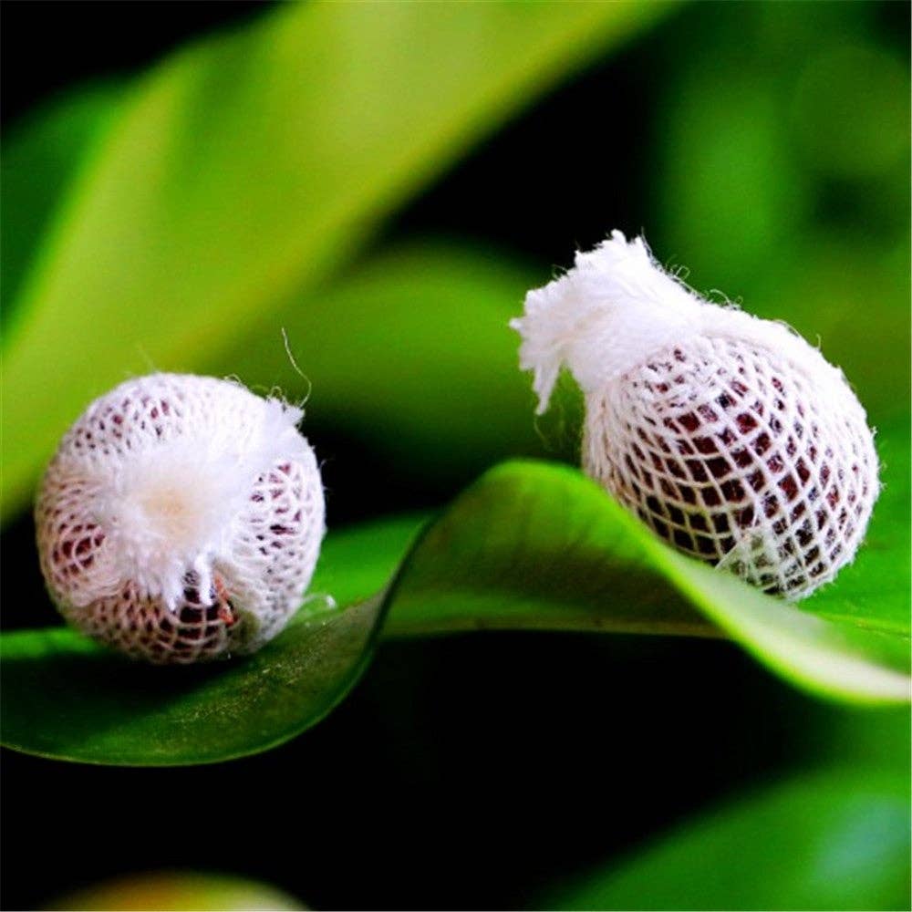 VIGOR - Vente Thés santé/détox - Yoni Detox Pearls - Fontes vaginales10