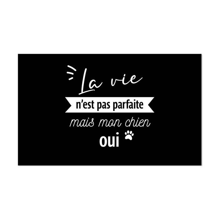 Perfect Dog vinyl feeding mat for wholesale by Podevache