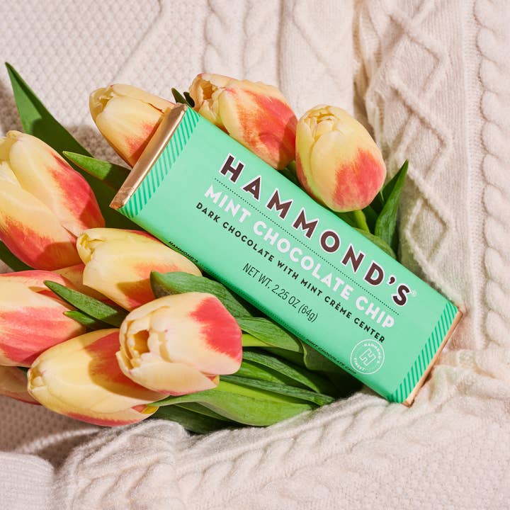 Hammond's Candies - Wholesale Chocolate Bar - Candy Bar - Dark Chocolate - Mint Chocolate Chip - 2.25 oz2