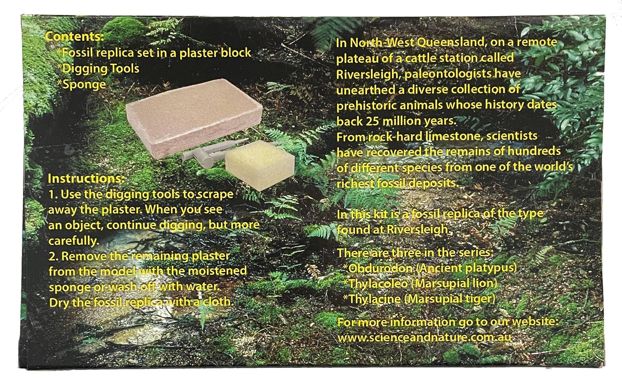 Science and Nature – wholesale Toy set – Kids – Australian Fossil Find (Pack of 6)3