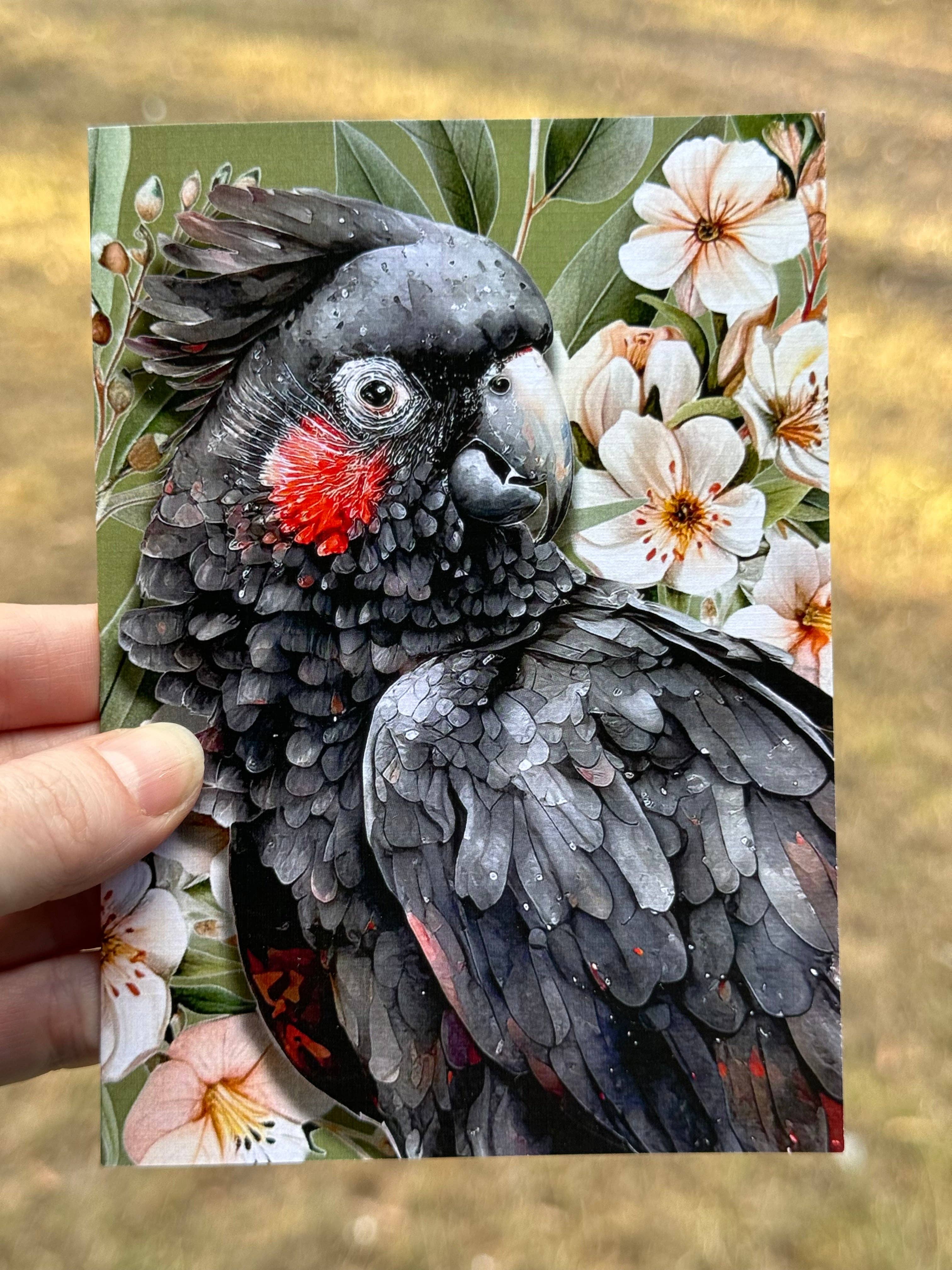 Scattered Seed Co - Wholesale Everyday greeting card - Australian Black Cockatoo on Native Florals greeting card1