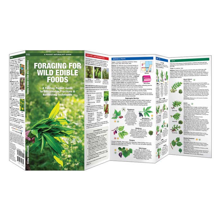 Waterford Press - Wholesale Nature Guide - Foraging for Wild Edible Foods Field Guide