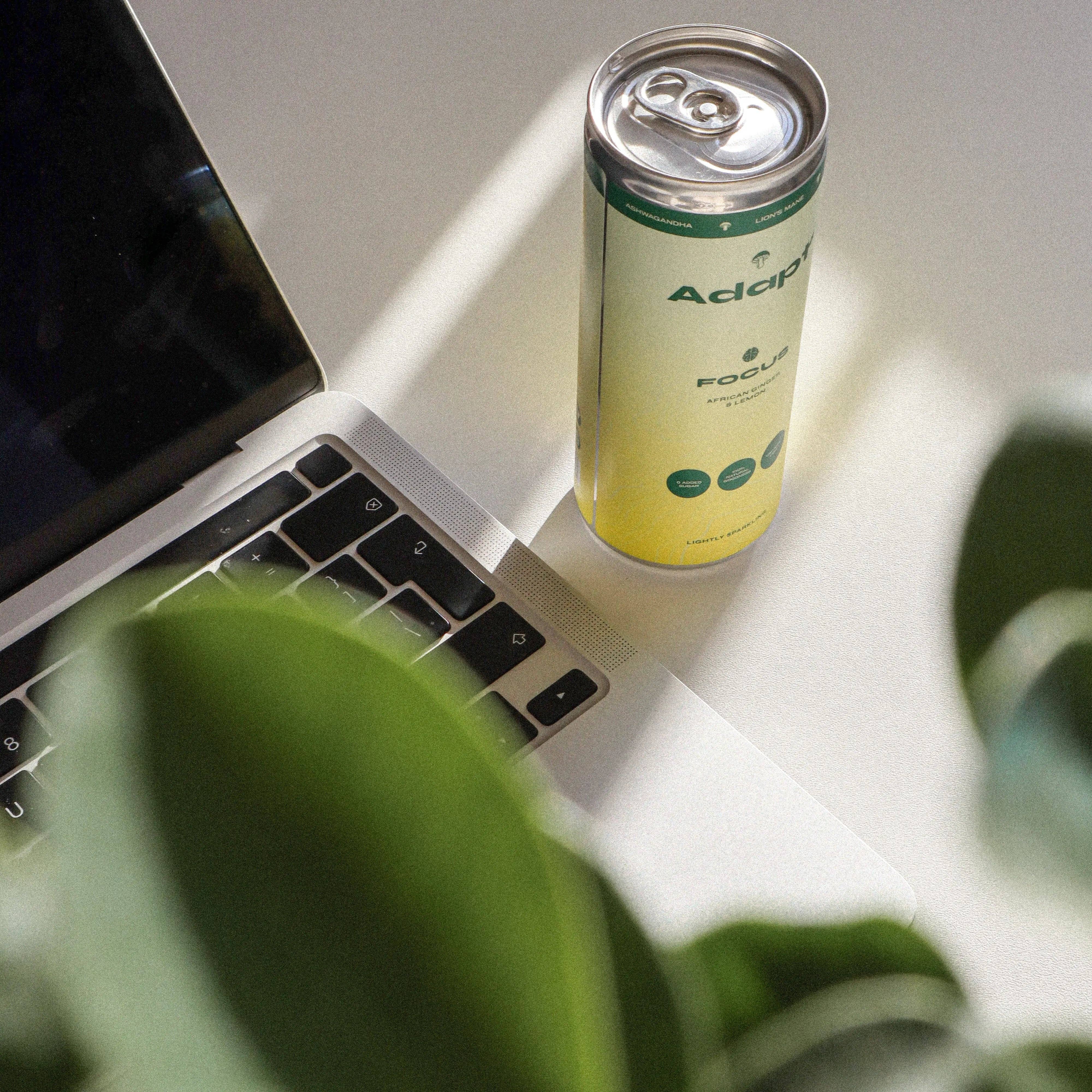 Adapt Drinks - Wholesale Soda/Carbonated Drink - Lemon & Ginger Nootropic Soda • with Lion's Mane2