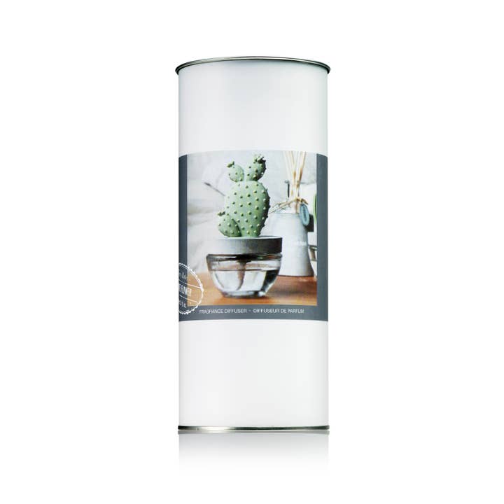 Pretty Valley Home – wholesale Reed diffuser – Cactus - Bunny Ear Cactus ceramic diffuser gift set - 100ml