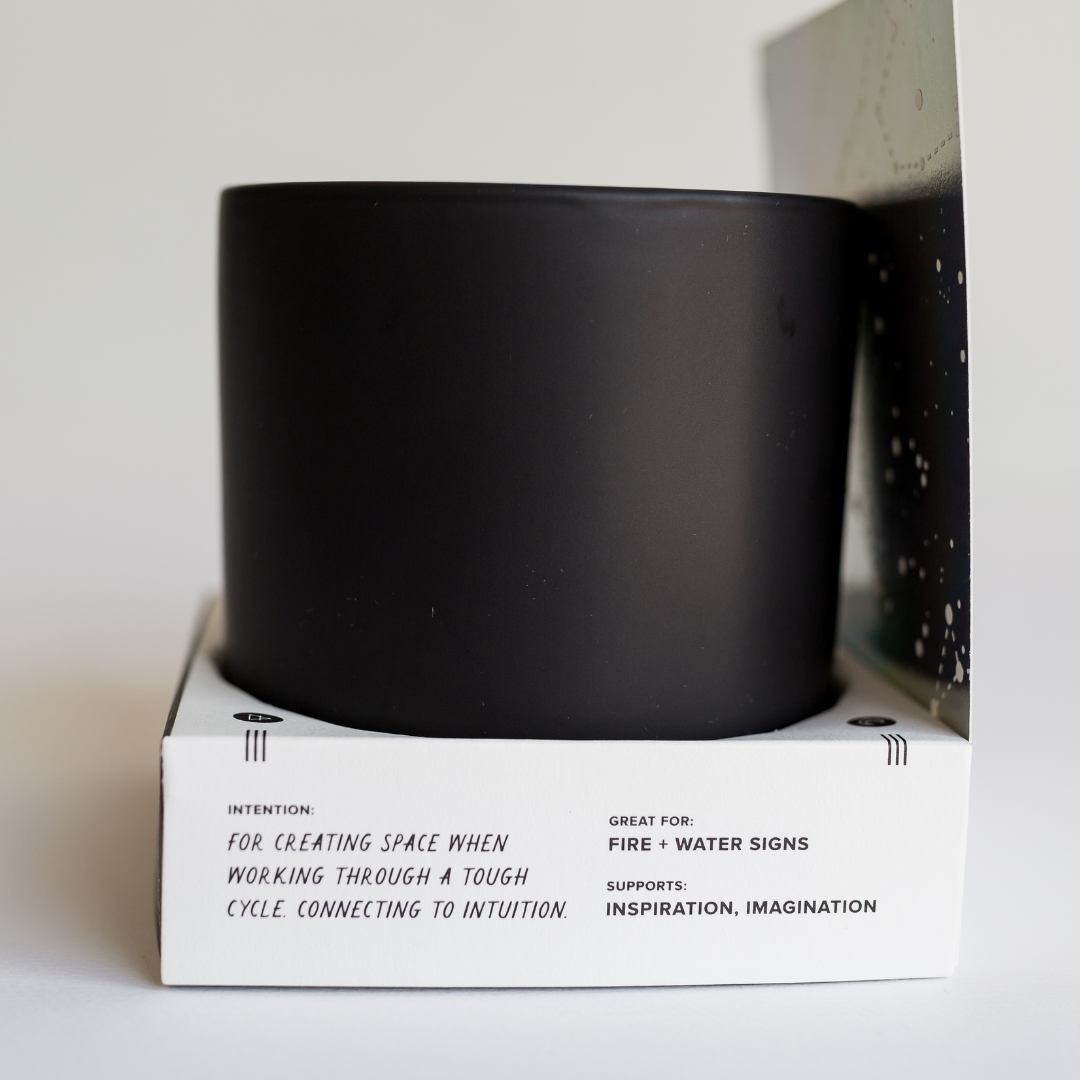 Cultivating Luminescence - Wholesale Jar/Filled Candle - 11 oz / Seeking Candle4