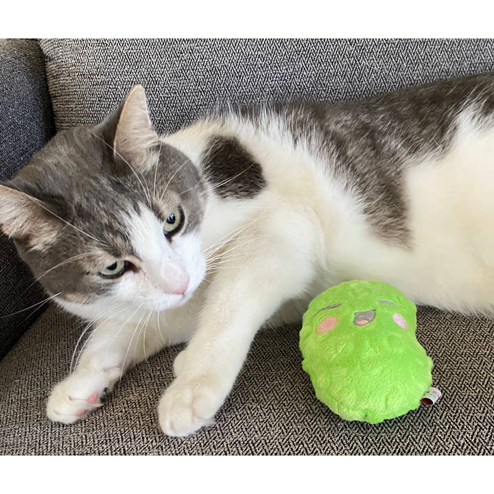 Screaming Pickles - Vente Jouet couineur – chien - Jouets pour animaux de compagnie faits à la main - Catnip/Dog Squeaker Mini Pickle10