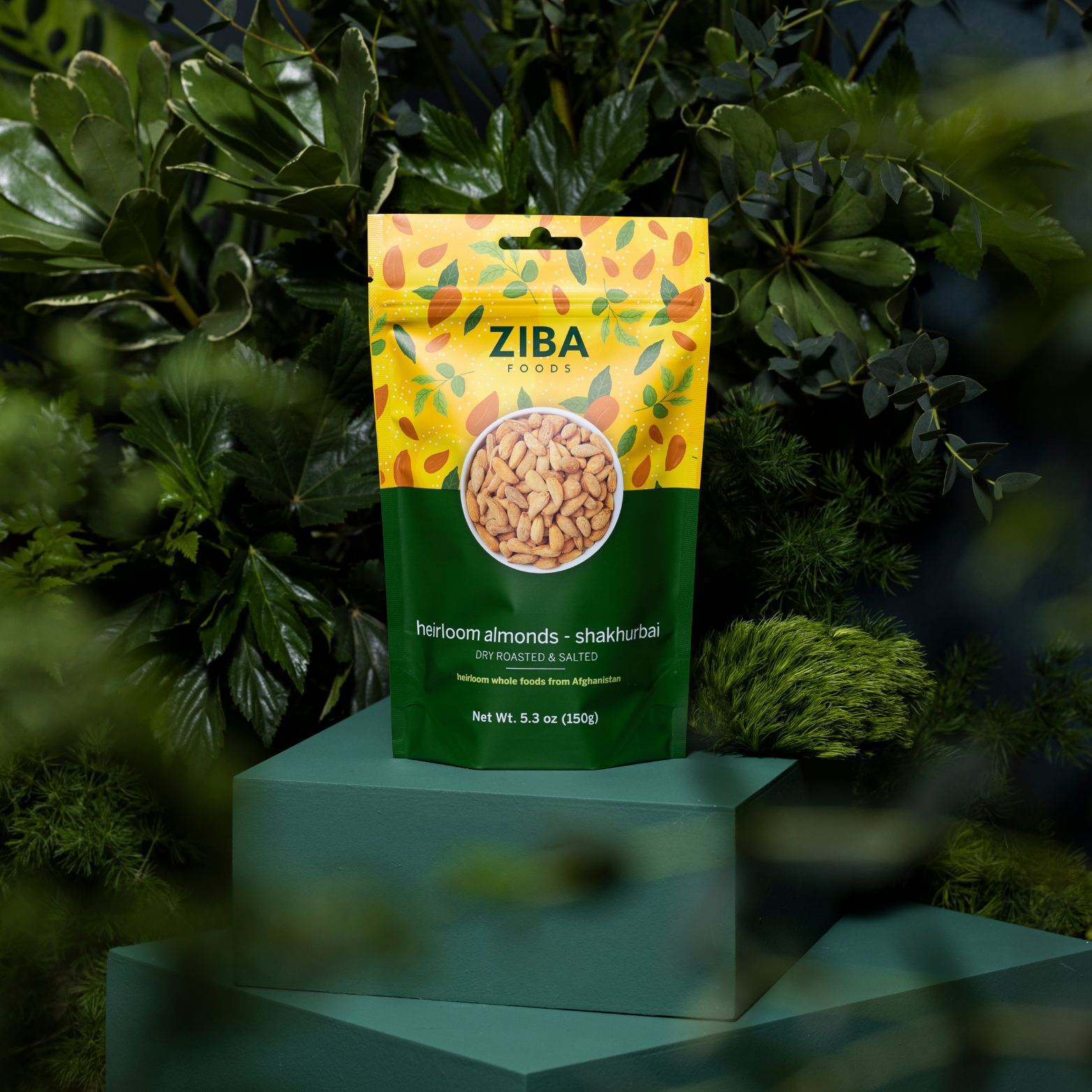 Ziba Foods – wholesale Nötter – Heirloom mandel - Shakhurbai (torr rostad & saltad) 5 oz8