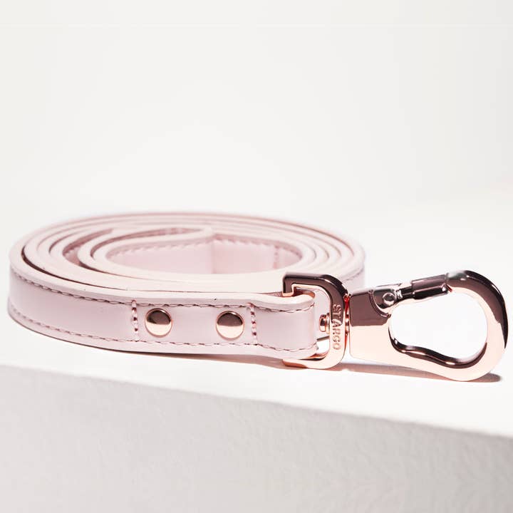 PLOMB - Rose pâle pour la vente par ST ARGO