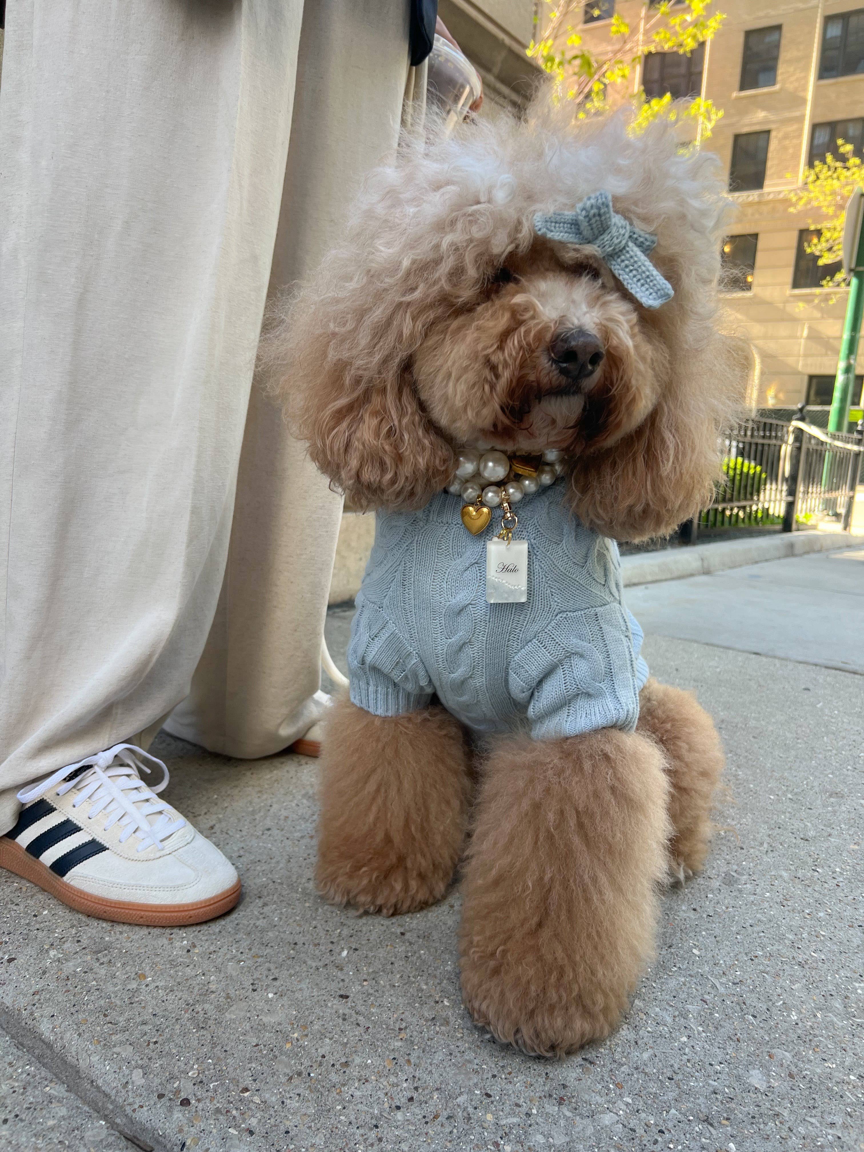 GIGI’S USA - Wholesale Pet Shirt - Dog - Cablette Blue Dog Shirt0