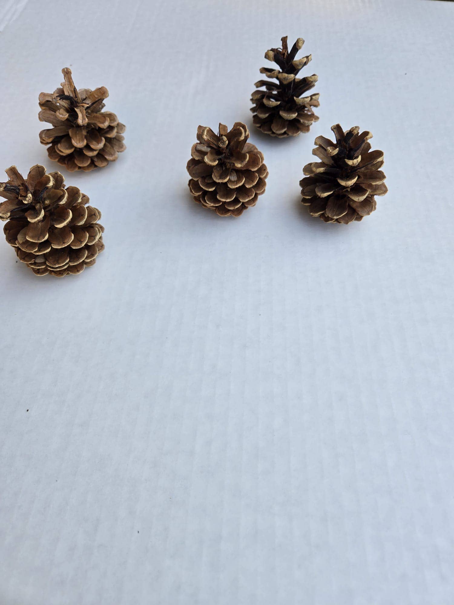 Holiday Forest  Products - Wholesale Christmas Decoration - Austrica1