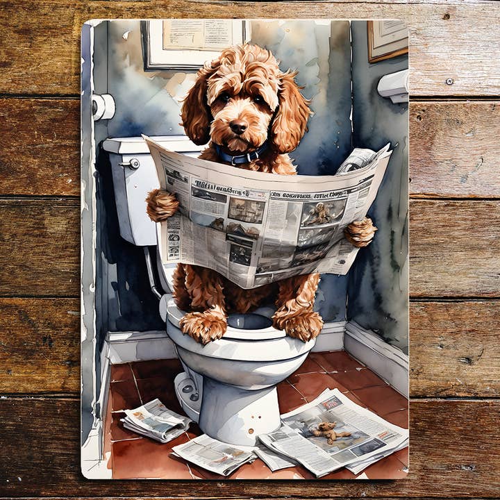Cockapoo på toaletten tidningshund hundar metallskylt plakat för wholesale av The British Metal Signs Company