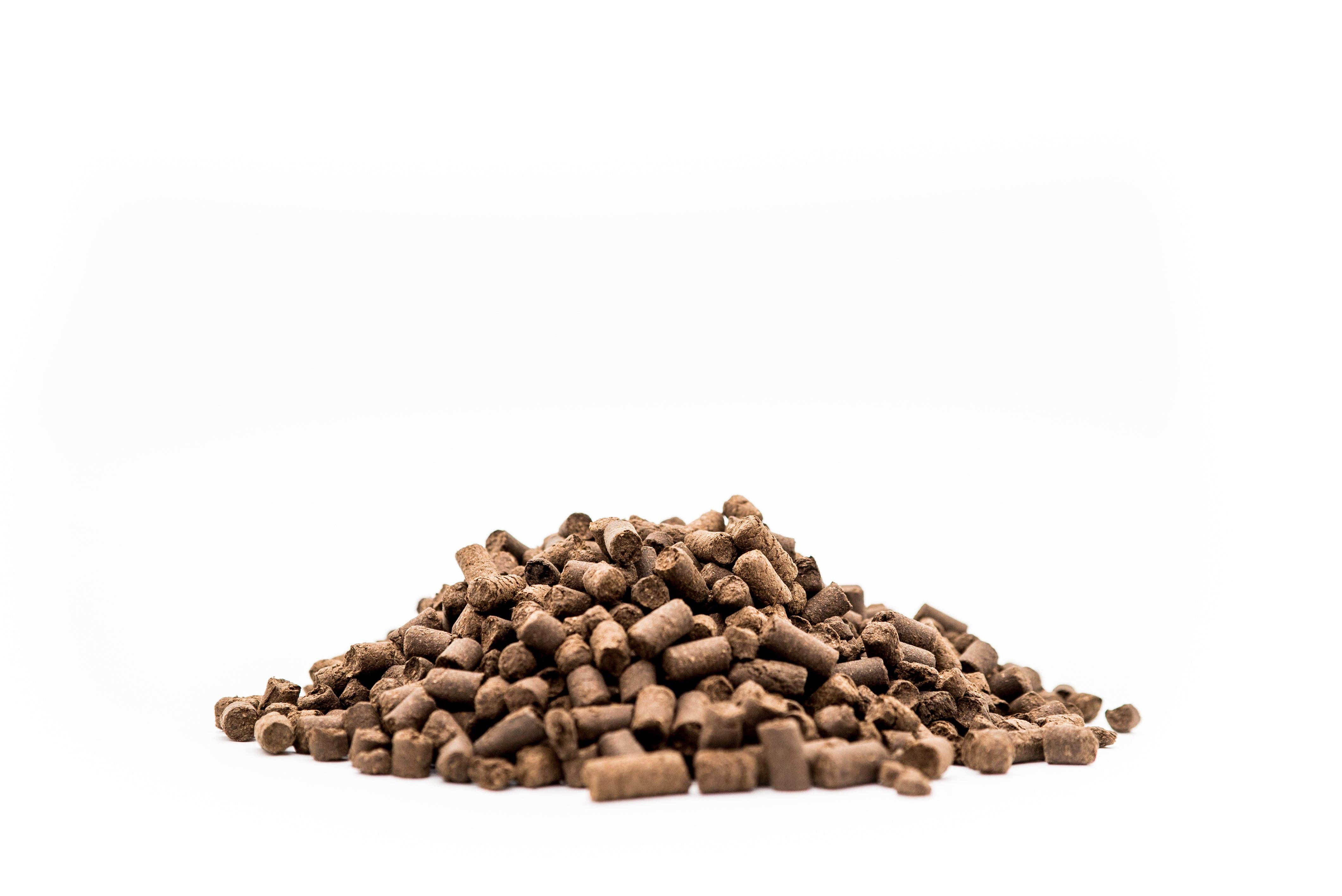 Wormganix Worm Castings - Wholesale Fertiliser - Wormganix Bug Life All Purpose Insect Frass Fertiliser -Ready to use Pellets 100% Natural Chemical & Peat Free Slow Release Sustainable 1 Litre Pouch1