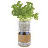 Garden Pocket - Wholesale Live Plant - UD - BASIL-PARSLEY - HYDROPONICS1
