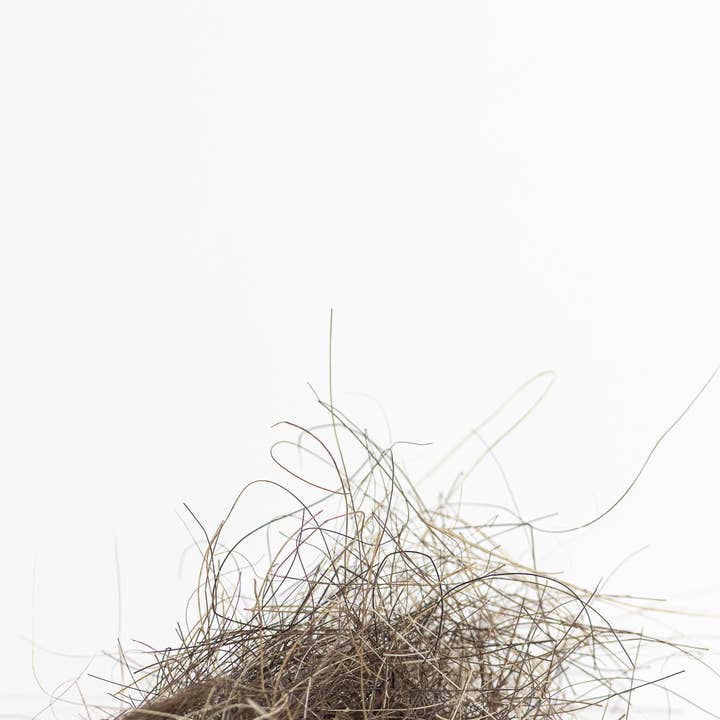 Stemcell Science Shop - Wholesale Hair Clip - Women's - Woolly Mammoth Hair