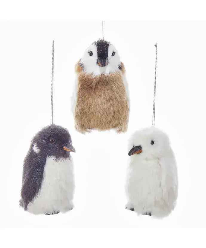 Kurt S. Adler, Inc. - Wholesale Ornament Set - 3.35"FURRY PENGUIN ORNAMENT 3/ASSTD0