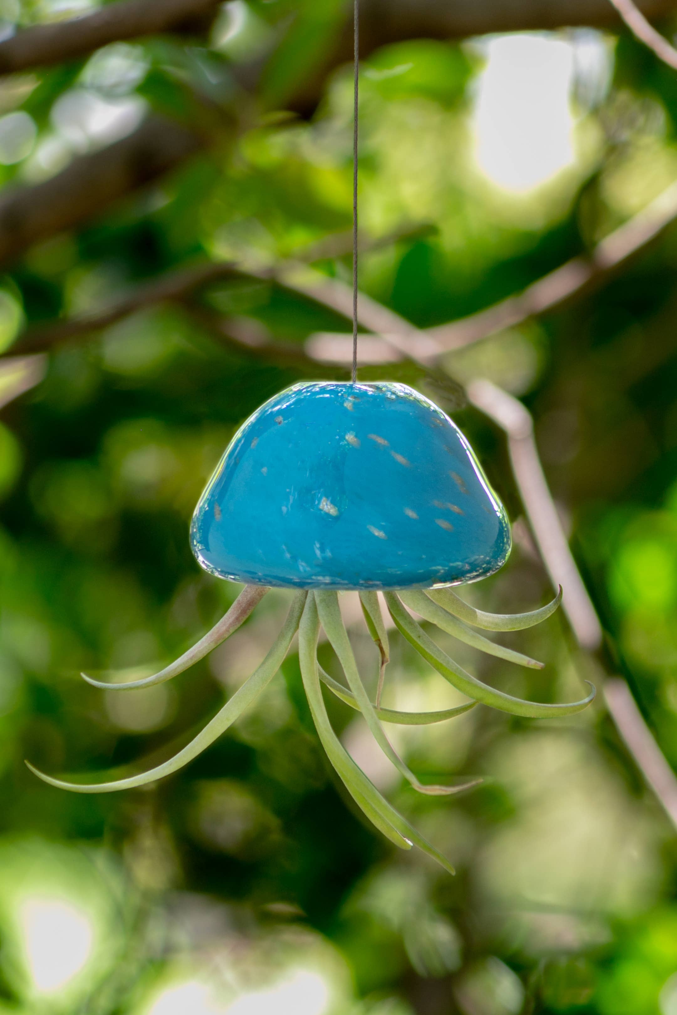 ApricotMint – wholesale Hängande kruka – Maneter Handblåst Konst Glas Luftväxthållare (inga växter)3